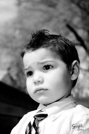 IMAGE: http://snapsbypoteat.smugmug.com/Babies-and-Children/MasonDixie/040310-014/840598459_cRG4Z-M.jpg