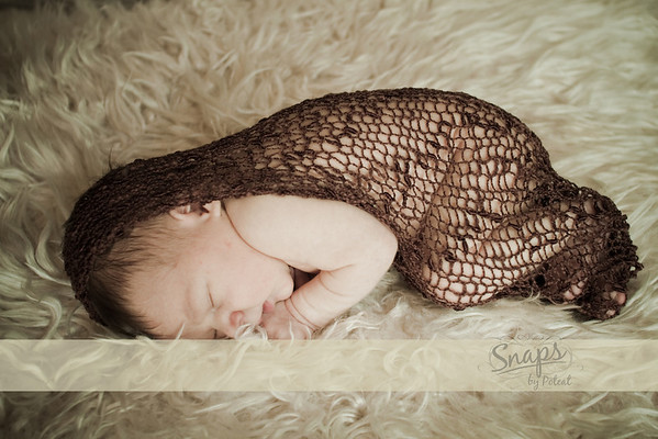 IMAGE: http://snapsbypoteat.smugmug.com/photos/874681301_mH5qF-M.jpg