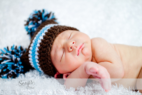 IMAGE: http://snapsbypoteat.smugmug.com/photos/874681745_TQ88G-M.jpg