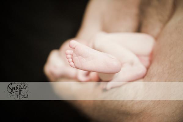 IMAGE: http://snapsbypoteat.smugmug.com/photos/874682550_yy3xs-M.jpg