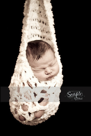 IMAGE: http://snapsbypoteat.smugmug.com/photos/874682847_Q9nG3-M.jpg