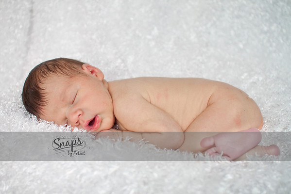 IMAGE: http://snapsbypoteat.smugmug.com/photos/874683310_Gjw22-M.jpg